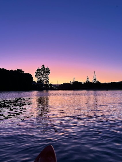 Picture 4 for Activity Auckland: Bioluminescence Kayak Tour by Night with Tuition