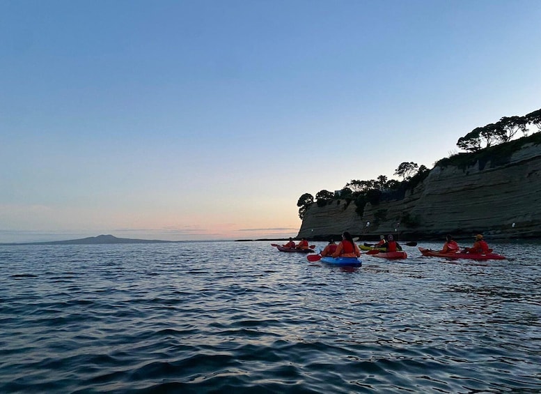 Picture 8 for Activity Auckland: Bioluminescence Kayak Tour by Night with Tuition