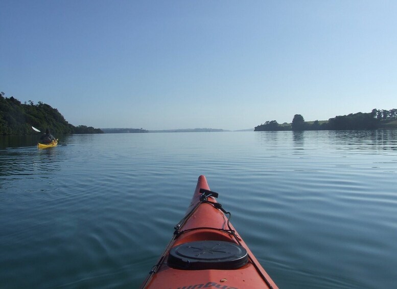 Picture 2 for Activity Auckland: Bioluminescence Kayak Tour by Night with Tuition