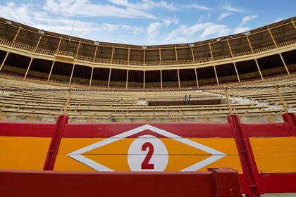 Alicante: Bullring and Bullfighting Museum Entry Ticket