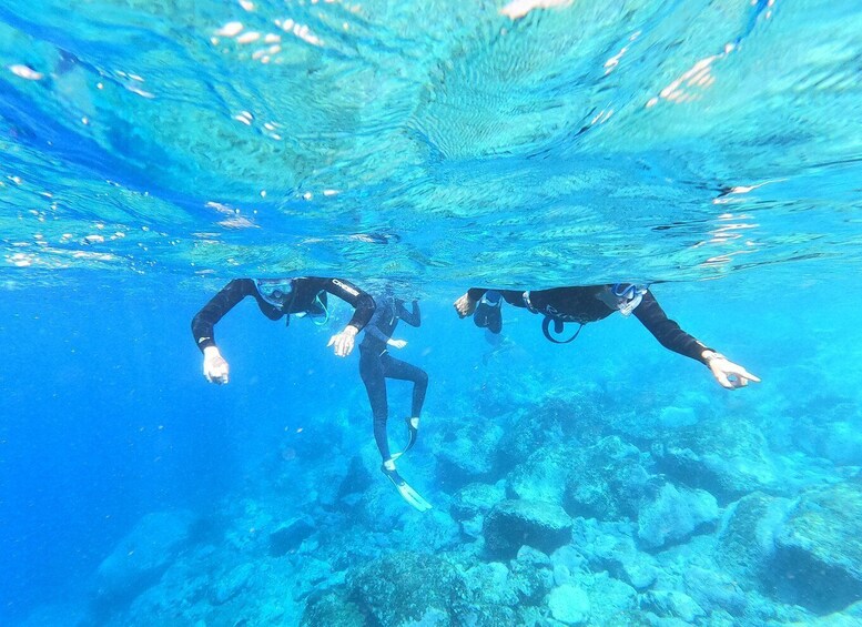 Picture 24 for Activity Tenerife : Snorkeling underwater with freediving Instructor