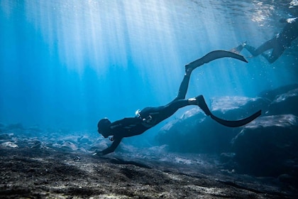Tenerife : Snorkelling underwater with freediving Instructor