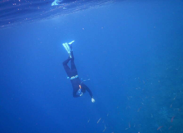 Picture 17 for Activity Tenerife : Snorkeling underwater with freediving Instructor