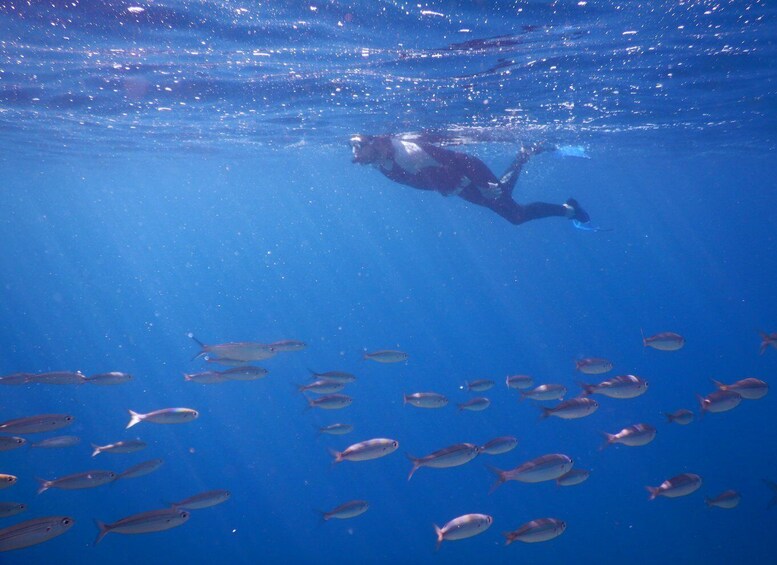 Picture 18 for Activity Tenerife : Snorkeling underwater with freediving Instructor