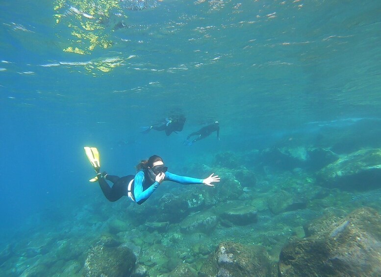 Picture 11 for Activity Tenerife : Snorkeling underwater with freediving Instructor