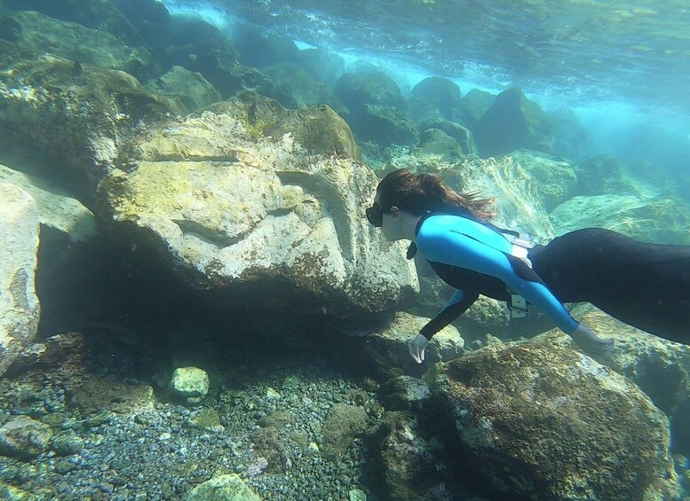 Picture 16 for Activity Tenerife : Snorkeling underwater with freediving Instructor