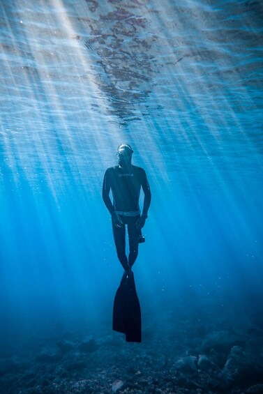 Picture 20 for Activity Tenerife : Snorkeling underwater with freediving Instructor