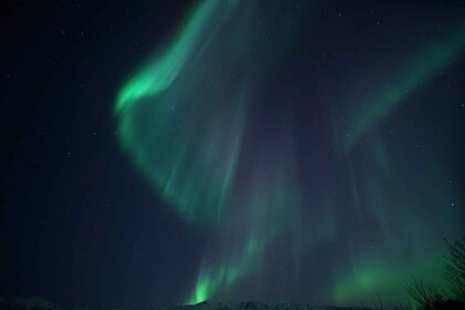 Från Tromsö: Norrskensjakt med båt