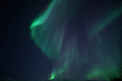 Tromsø : Croisière en soirée avec l’occasion d’aurores boréales