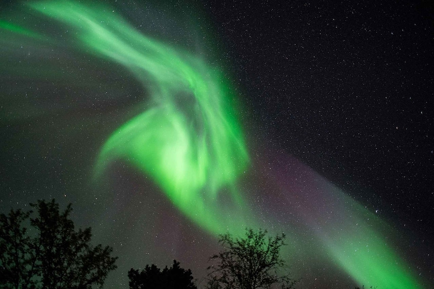 Picture 2 for Activity From Tromsø: Northern Lights Chase by Boat