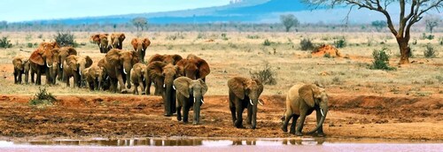 2 Tage nach Tsavo Ost von Mombasa aus