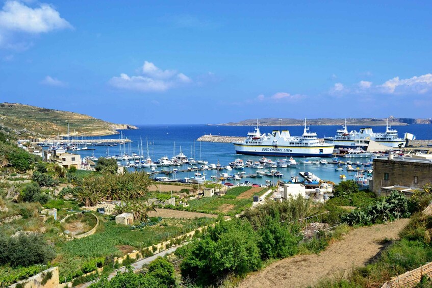 Picture 13 for Activity From Mellieħa: Half-Day Cruise with Blue and Crystal Lagoons