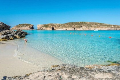 Comino & Gozo: Blue & Crystal Lagoons Cruise with Sea Caves
