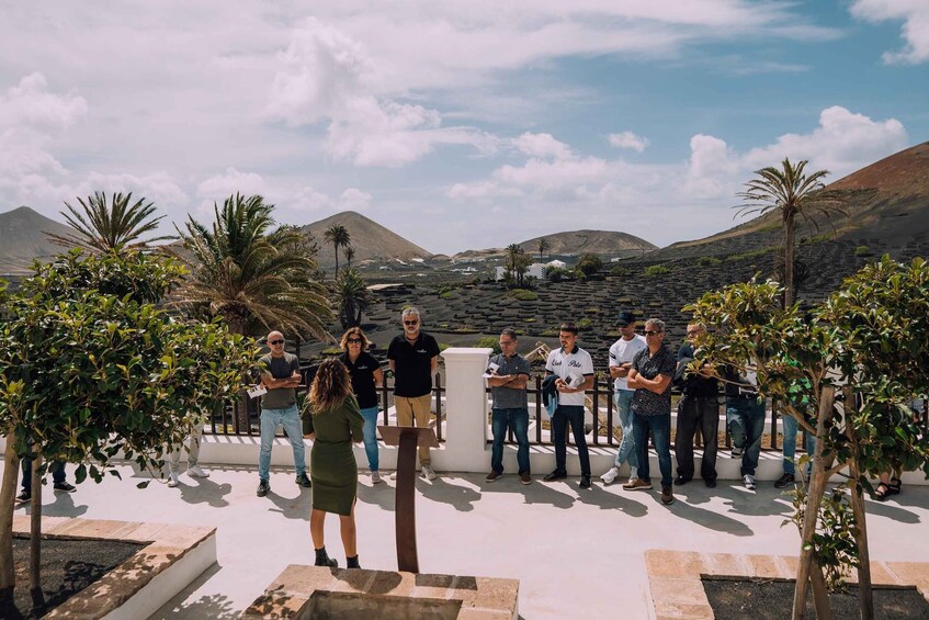 Picture 12 for Activity Lanzarote: Vineyard Tour with Wine and Chocolate Tasting