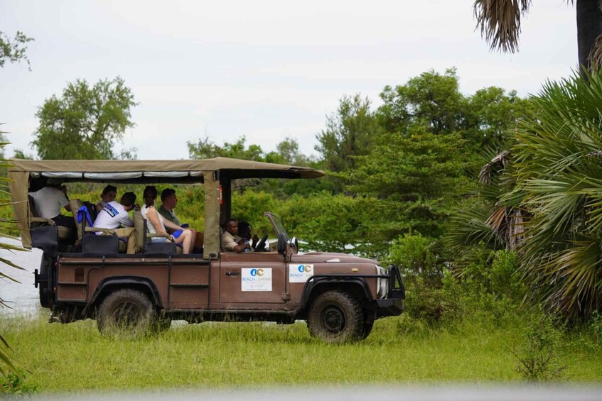 Picture 74 for Activity From Zanzibar: 3D2N: 2 Full Selous Gamedrives & Hot Springs