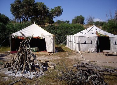 Essaouira: 1 noche en una tienda bereber junto al mar con comidas