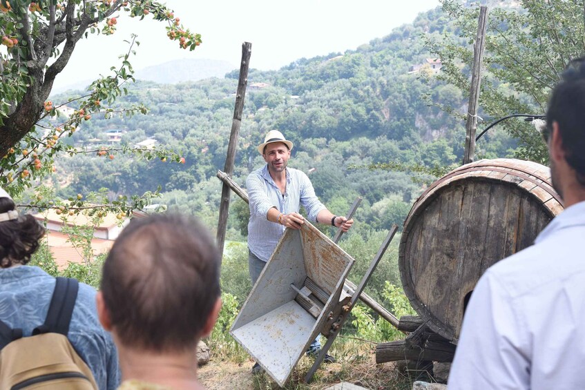 Picture 2 for Activity Sorrento: Farm Tour with Cheese Tasting & Pizza Making Class