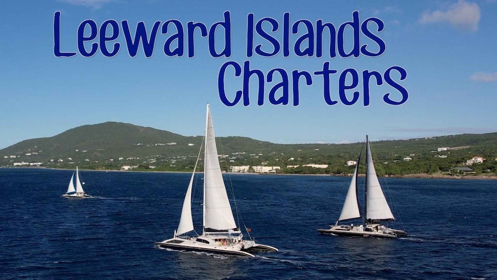 Basseterre: Catamaran Cruise at St. Kitts with Light Lunch
