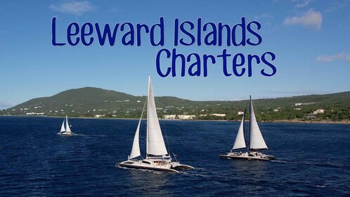 Basseterre: Catamaran Cruise at St. Kitts with Light Lunch