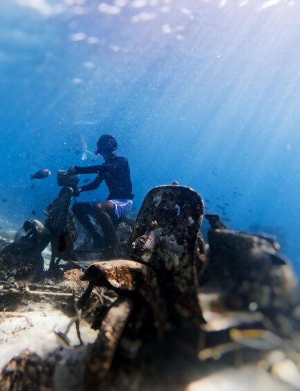 Picture 2 for Activity Snorkeling with Turtle and underwater Statue in Gilis