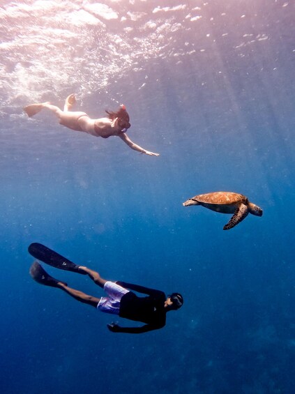 Picture 1 for Activity Snorkeling with Turtle and underwater Statue in Gilis