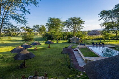 Desde Zanzíbar: safari privado de 2 días en Ngorongoro con vuelos