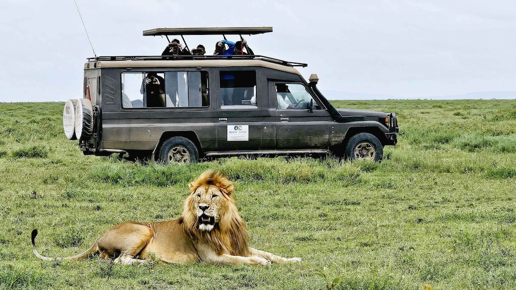 From Zanzibar:2-Day Private Magical Ngorongoro Crater Safari