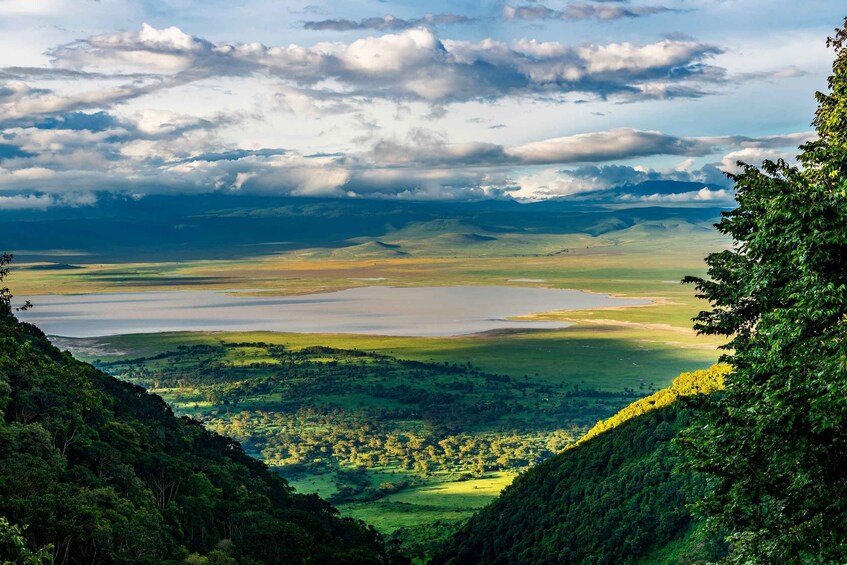 Picture 1 for Activity From Zanzibar: 2-Day Private Safari Ngorongoro with Flights