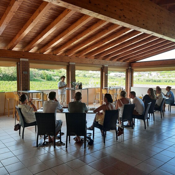 Picture 2 for Activity Bardolino: Vineyard Tour with Wine, Olive Oil & Food Tasting