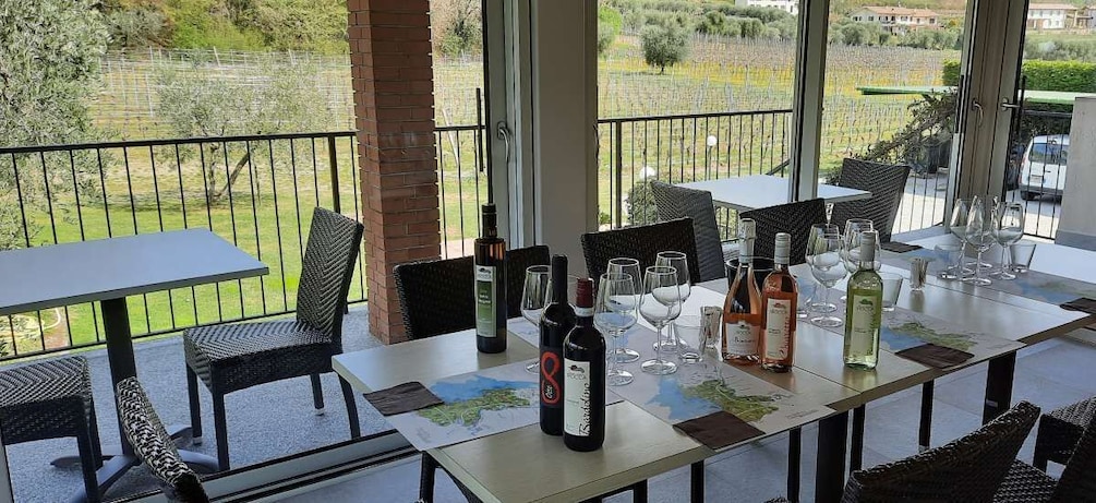 Picture 4 for Activity Bardolino: Vineyard Tour with Wine, Olive Oil & Food Tasting