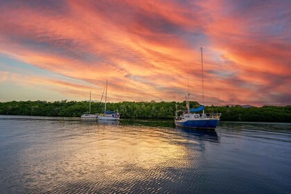 Cairns: Sunset River Cruise mit Snack und Getränken