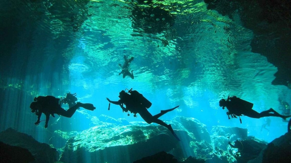 Picture 5 for Activity Mérida: Explore Two Cenotes Tour with Lunch