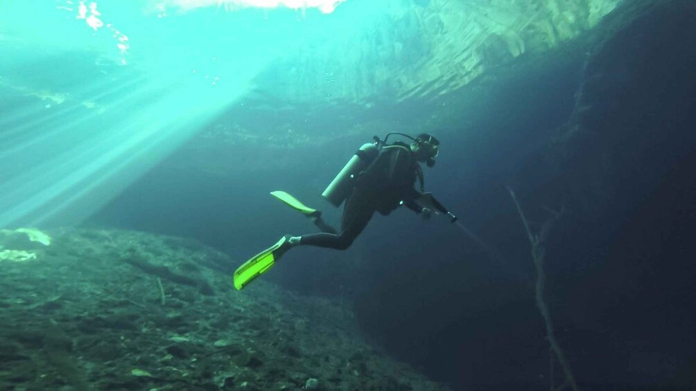 Picture 3 for Activity Desde Mérida: Explore Two Cenotes Tour with Lunch