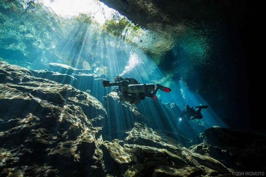 Picture 7 for Activity Mérida: Explore Two Cenotes Tour with Lunch