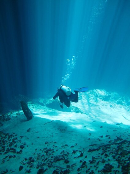 Picture 6 for Activity Desde Mérida: Explore Two Cenotes Tour with Lunch