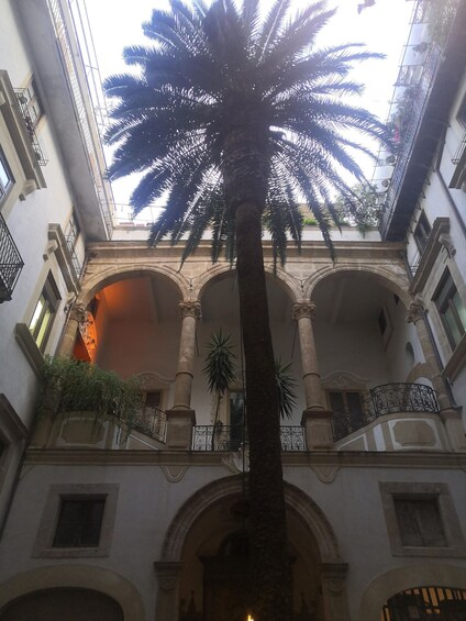 Picture 7 for Activity Palermo: Street Food Walking Tour at Sunset