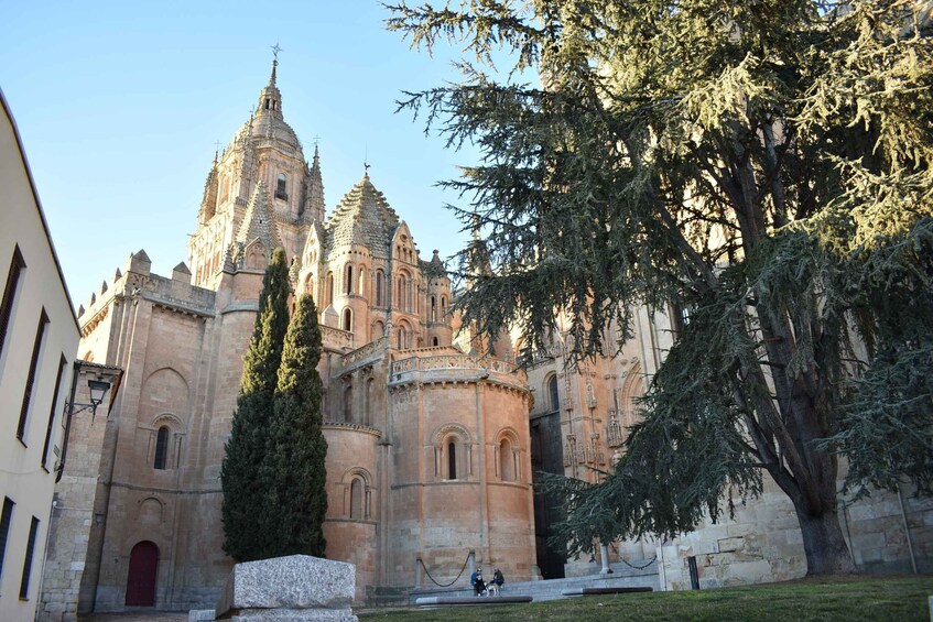 Picture 1 for Activity Salamanca: Private Sightseeing & Cultural Walking Tour