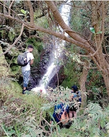 Cali: Cali River Waterfall and GREAT river pools