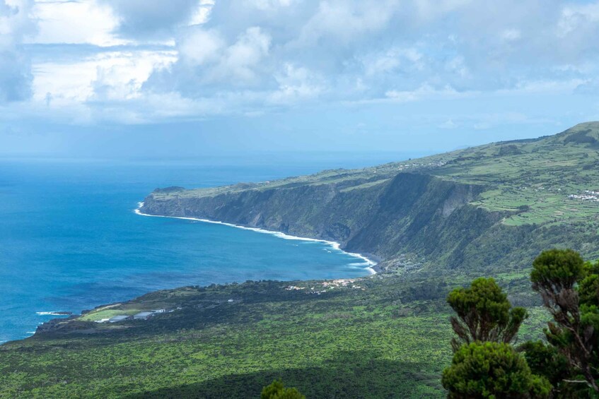 Picture 3 for Activity Faial Island Tour: Full Day with lunch