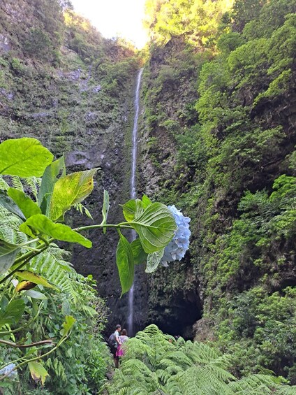 Picture 7 for Activity Queimadas Caldeirão Verde Walking tour with guide