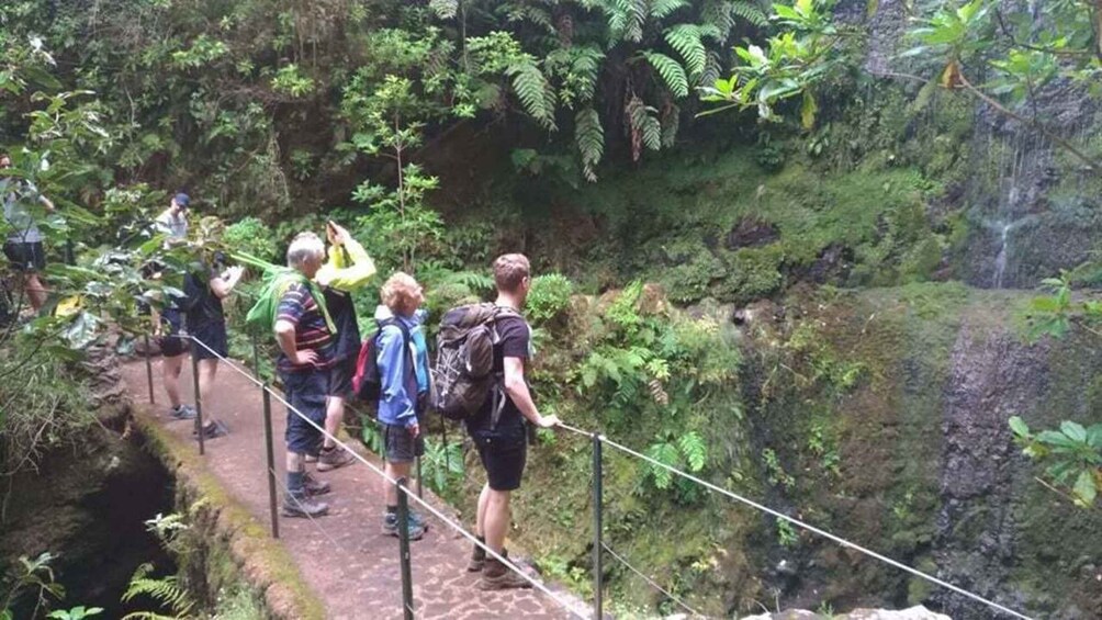 Picture 5 for Activity Queimadas Caldeirão Verde Walking tour with guide