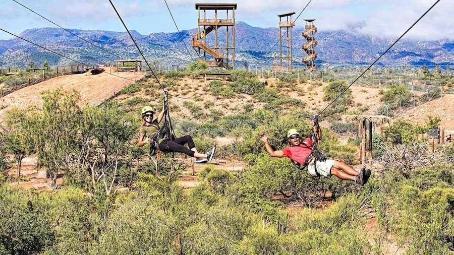 Camp Verde: Predator Zip Lines Guided Tour