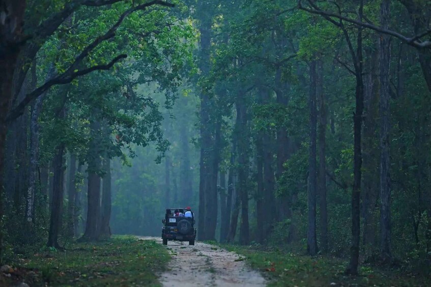 Picture 1 for Activity Pench National Park: Skin the Line Access to Jungle Safari