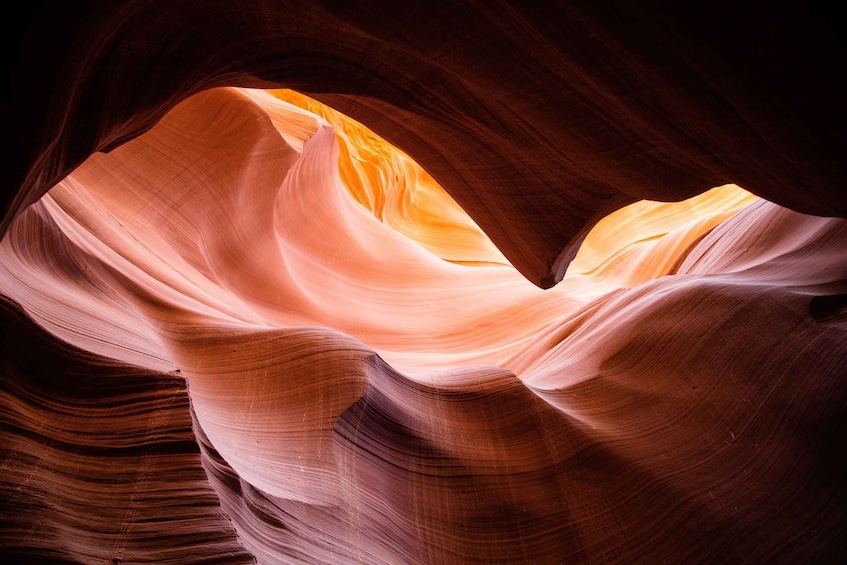 Picture 3 for Activity Page: Lower Antelope Canyon Walking Tour with Navajo Guide