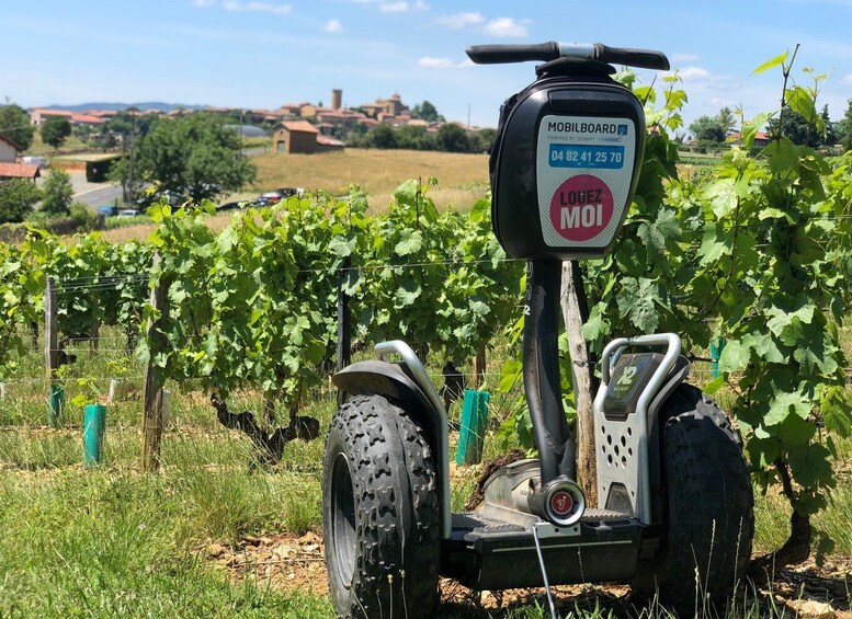 Picture 2 for Activity Beaujolais: Segway Tour with Wine Tasting