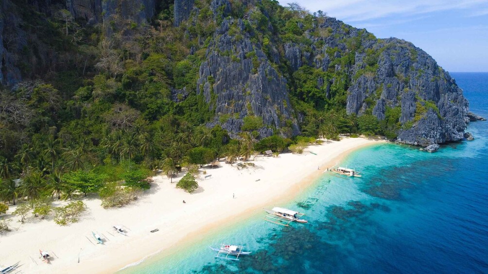 Picture 2 for Activity Palawan: Adventure of Dugong watching and Island Snorkeling