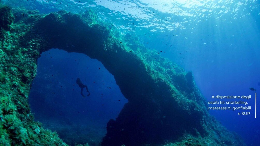 Picture 8 for Activity From Porto Ercole: Giannutri Island Snorkeling Boat Trip