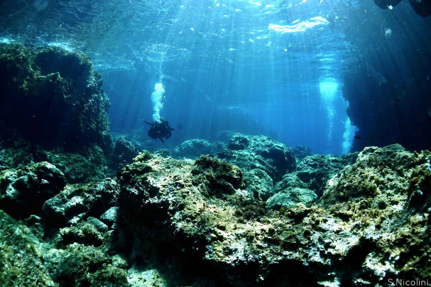 Picture 7 for Activity From Porto Ercole: Giannutri Island Snorkeling Boat Trip