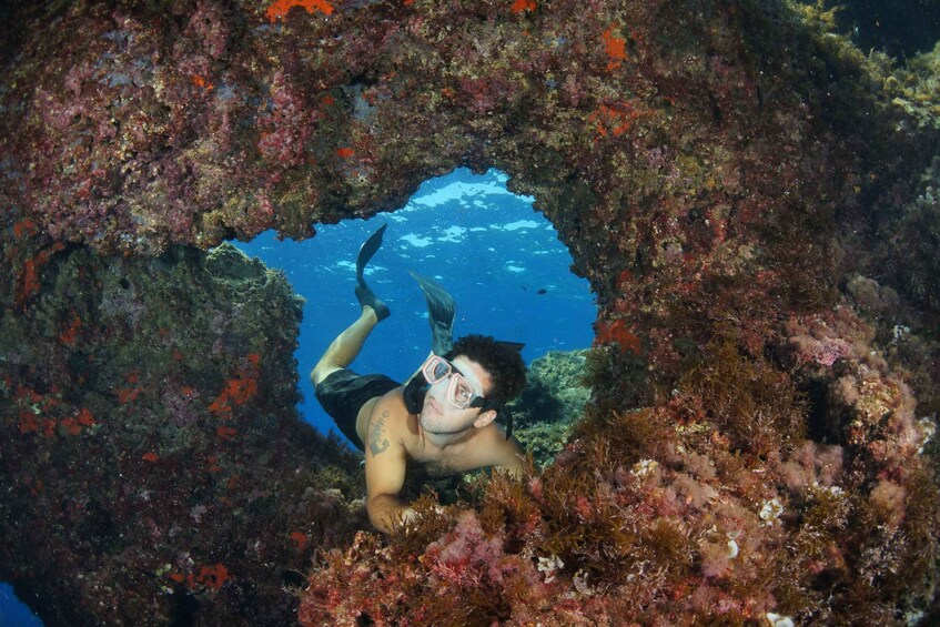 Picture 4 for Activity From Porto Ercole: Giannutri Island Snorkeling Boat Trip