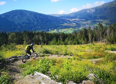 Voss - Mountain Bike – Bømoem Forest